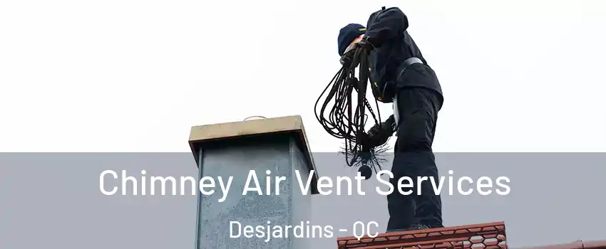 Chimney Air Vent Services Desjardins - QC