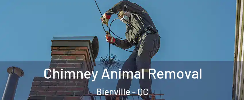 Chimney Animal Removal Bienville - QC