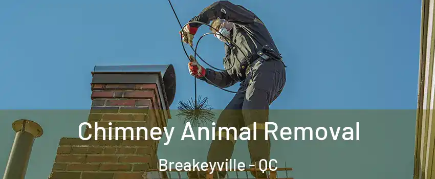 Chimney Animal Removal Breakeyville - QC