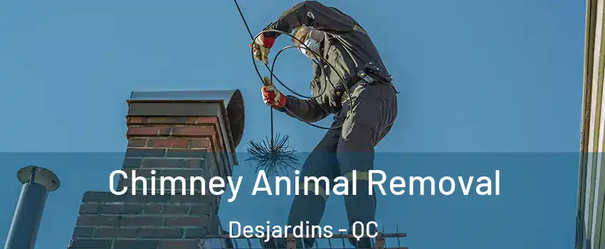Chimney Animal Removal Desjardins - QC
