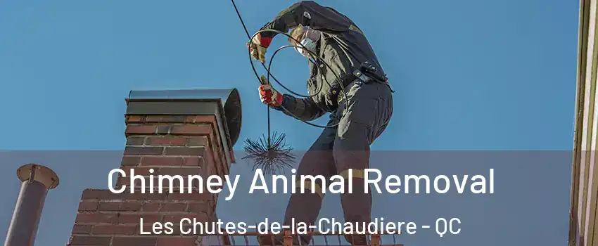  Chimney Animal Removal Les Chutes-de-la-Chaudiere - QC