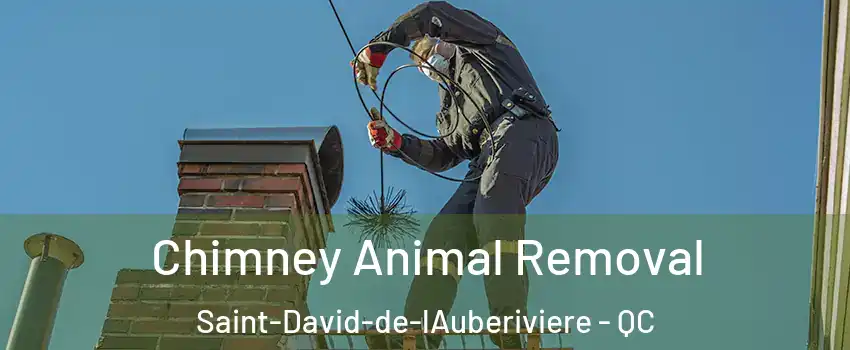 Chimney Animal Removal Saint-David-de-lAuberiviere - QC