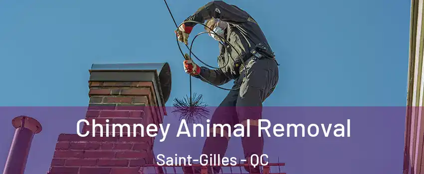 Chimney Animal Removal Saint-Gilles - QC