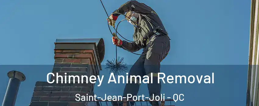 Chimney Animal Removal Saint-Jean-Port-Joli - QC