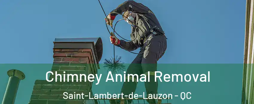 Chimney Animal Removal Saint-Lambert-de-Lauzon - QC