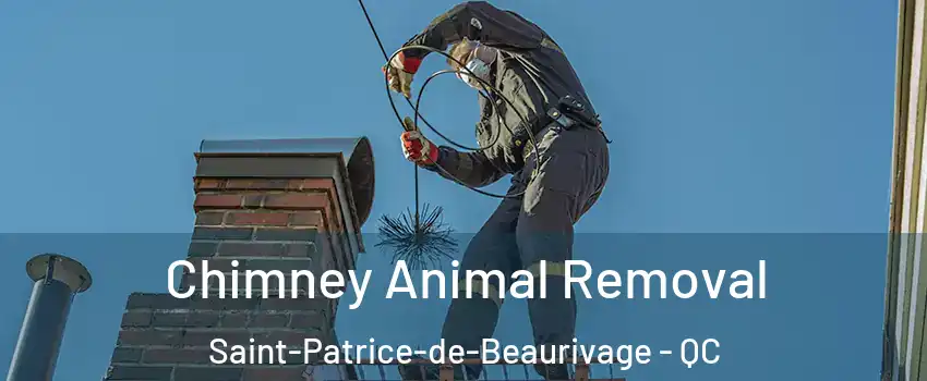 Chimney Animal Removal Saint-Patrice-de-Beaurivage - QC