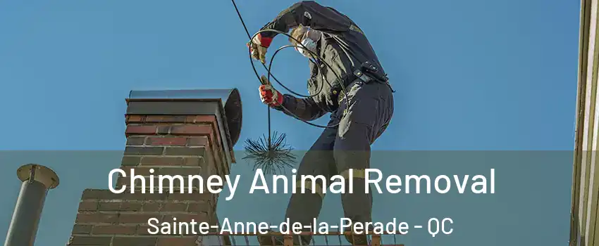 Chimney Animal Removal Sainte-Anne-de-la-Perade - QC