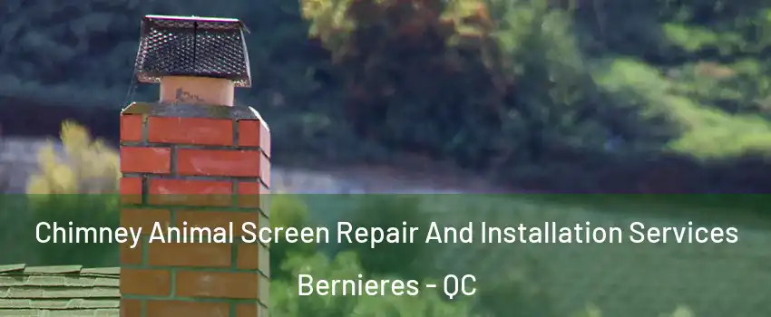 Chimney Animal Screen Repair And Installation Services Bernieres - QC