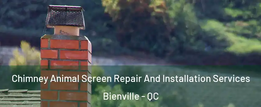 Chimney Animal Screen Repair And Installation Services Bienville - QC
