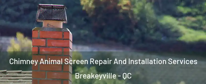 Chimney Animal Screen Repair And Installation Services Breakeyville - QC