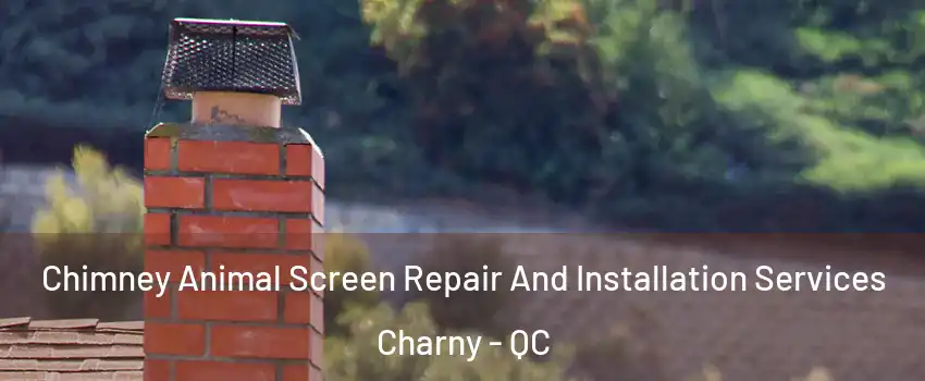 Chimney Animal Screen Repair And Installation Services Charny - QC