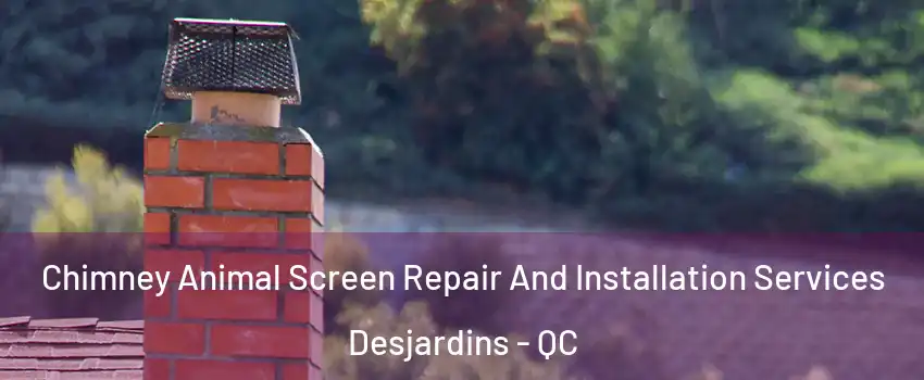 Chimney Animal Screen Repair And Installation Services Desjardins - QC