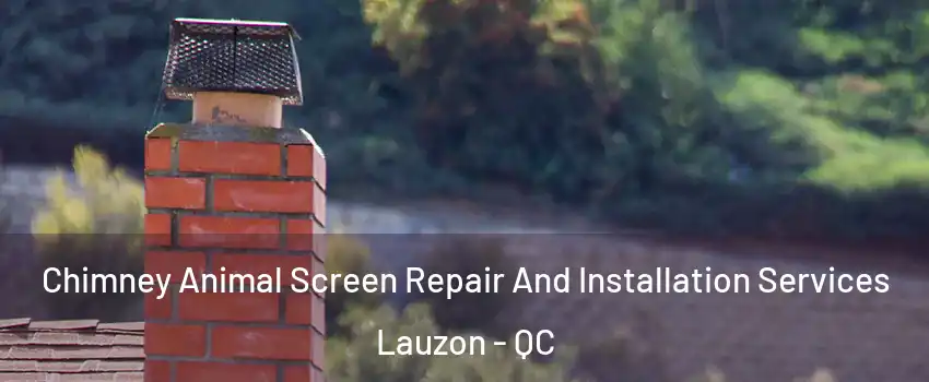 Chimney Animal Screen Repair And Installation Services Lauzon - QC