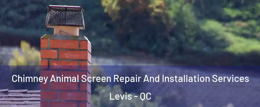 Chimney Animal Screen Repair And Installation Services Levis - QC