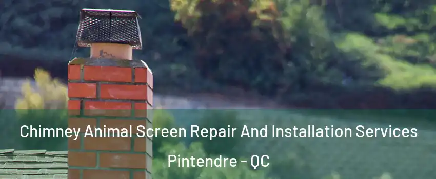  Chimney Animal Screen Repair And Installation Services Pintendre - QC
