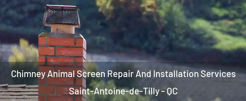 Chimney Animal Screen Repair And Installation Services Saint-Antoine-de-Tilly - QC