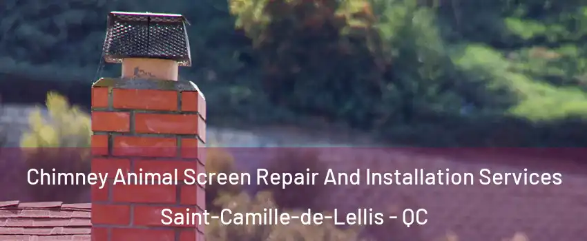  Chimney Animal Screen Repair And Installation Services Saint-Camille-de-Lellis - QC