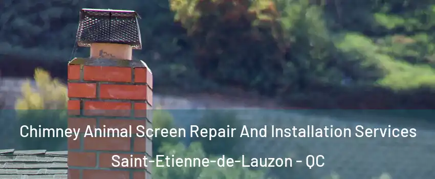 Chimney Animal Screen Repair And Installation Services Saint-Etienne-de-Lauzon - QC