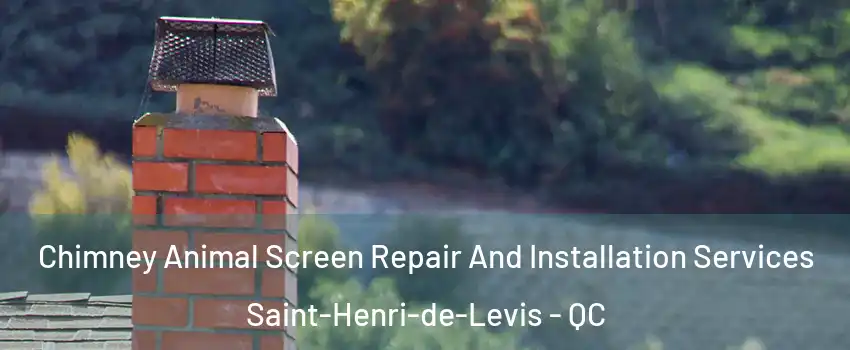 Chimney Animal Screen Repair And Installation Services Saint-Henri-de-Levis - QC