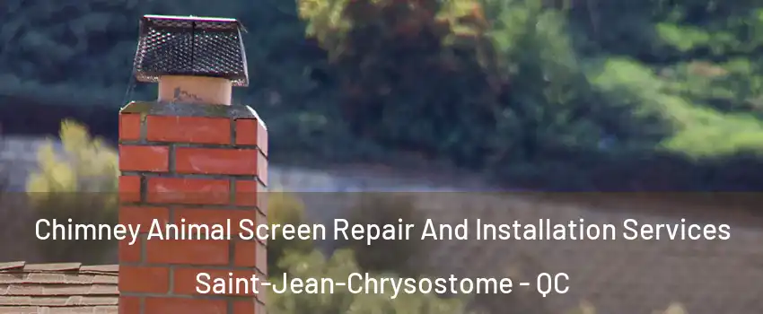 Chimney Animal Screen Repair And Installation Services Saint-Jean-Chrysostome - QC
