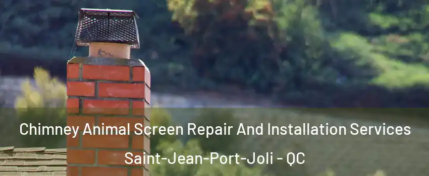 Chimney Animal Screen Repair And Installation Services Saint-Jean-Port-Joli - QC