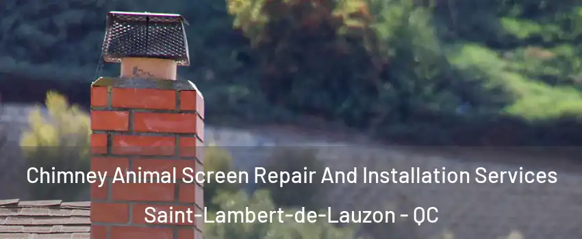 Chimney Animal Screen Repair And Installation Services Saint-Lambert-de-Lauzon - QC