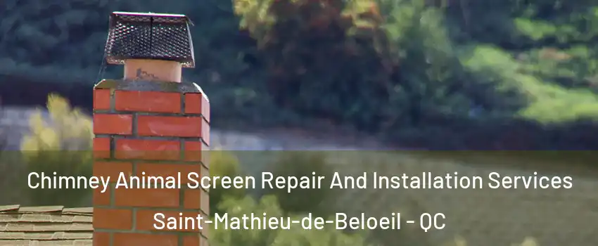 Chimney Animal Screen Repair And Installation Services Saint-Mathieu-de-Beloeil - QC