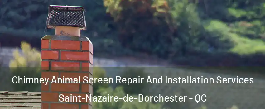 Chimney Animal Screen Repair And Installation Services Saint-Nazaire-de-Dorchester - QC