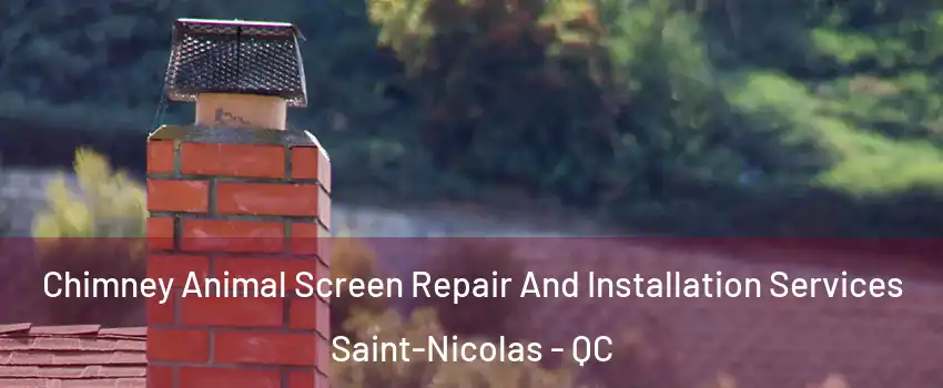 Chimney Animal Screen Repair And Installation Services Saint-Nicolas - QC