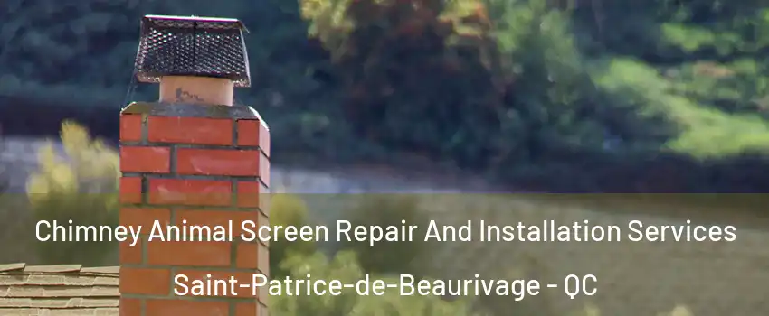 Chimney Animal Screen Repair And Installation Services Saint-Patrice-de-Beaurivage - QC