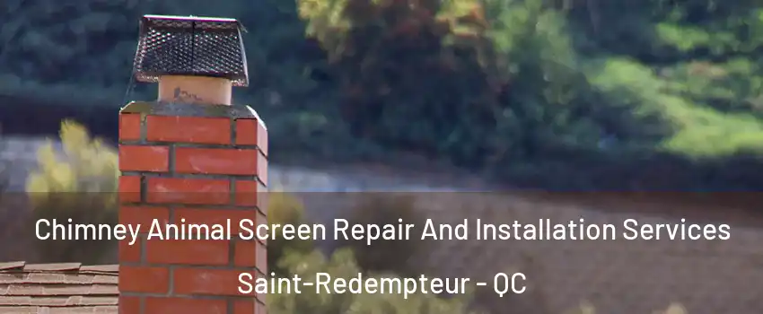 Chimney Animal Screen Repair And Installation Services Saint-Redempteur - QC