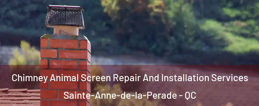 Chimney Animal Screen Repair And Installation Services Sainte-Anne-de-la-Perade - QC