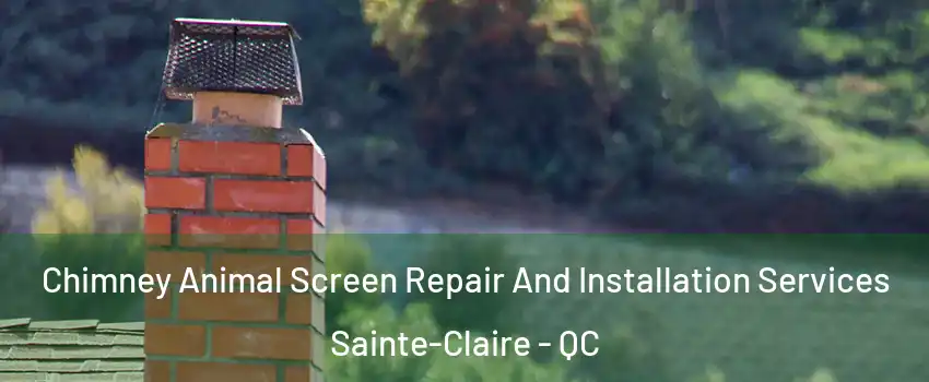 Chimney Animal Screen Repair And Installation Services Sainte-Claire - QC