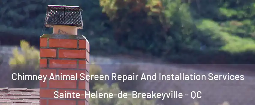Chimney Animal Screen Repair And Installation Services Sainte-Helene-de-Breakeyville - QC