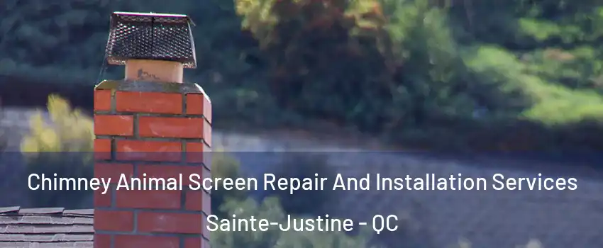 Chimney Animal Screen Repair And Installation Services Sainte-Justine - QC