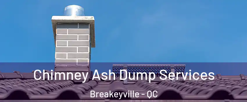 Chimney Ash Dump Services Breakeyville - QC