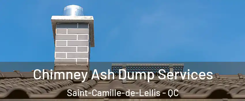 Chimney Ash Dump Services Saint-Camille-de-Lellis - QC