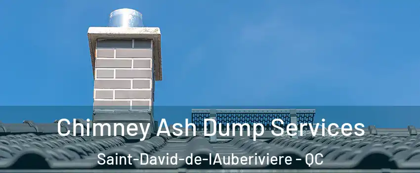 Chimney Ash Dump Services Saint-David-de-lAuberiviere - QC