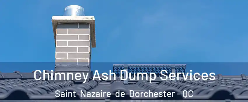 Chimney Ash Dump Services Saint-Nazaire-de-Dorchester - QC