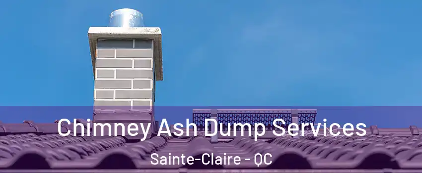 Chimney Ash Dump Services Sainte-Claire - QC