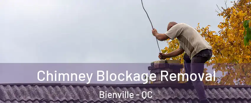 Chimney Blockage Removal Bienville - QC