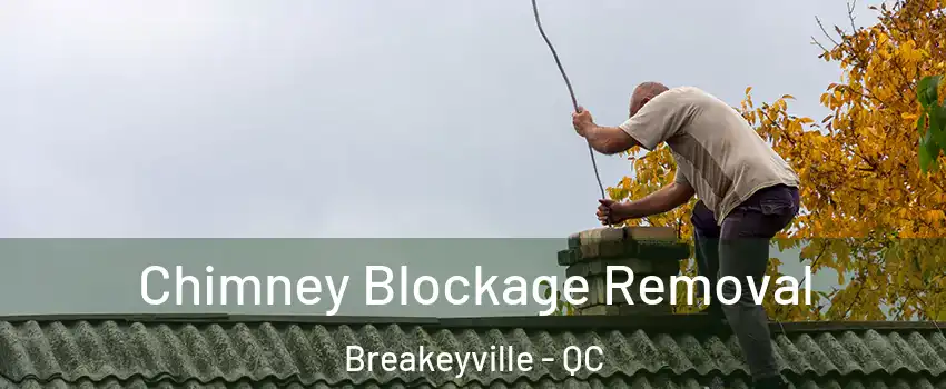 Chimney Blockage Removal Breakeyville - QC