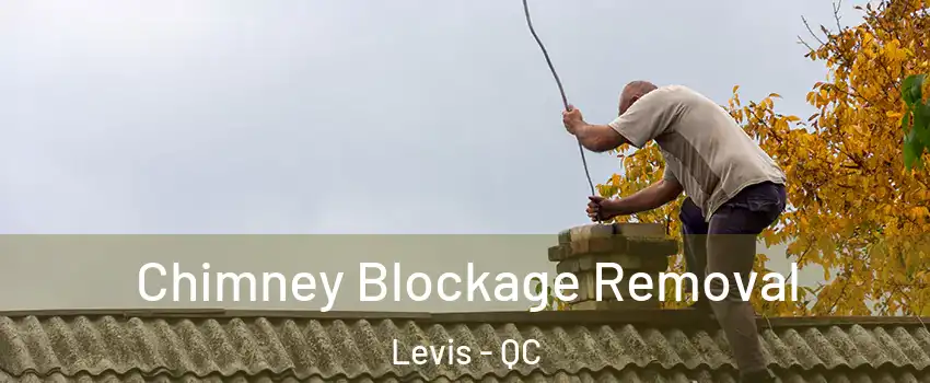 Chimney Blockage Removal Levis - QC