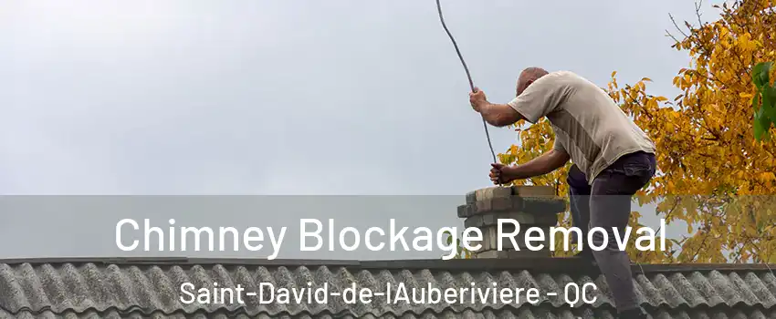 Chimney Blockage Removal Saint-David-de-lAuberiviere - QC