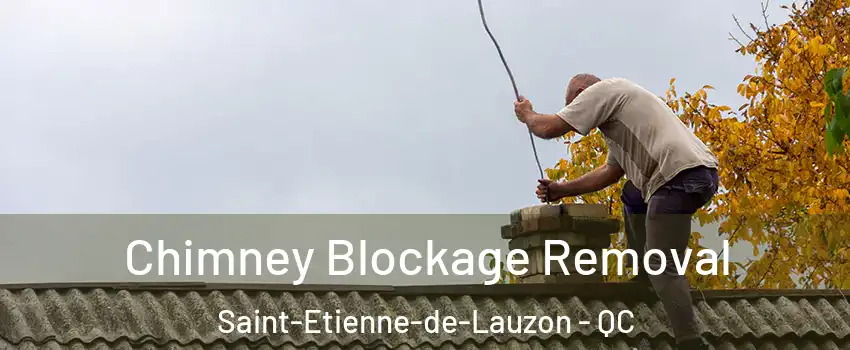 Chimney Blockage Removal Saint-Etienne-de-Lauzon - QC