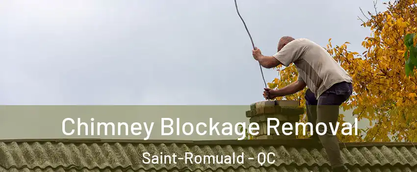  Chimney Blockage Removal Saint-Romuald - QC