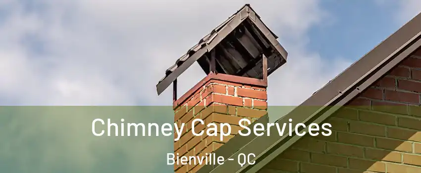  Chimney Cap Services Bienville - QC