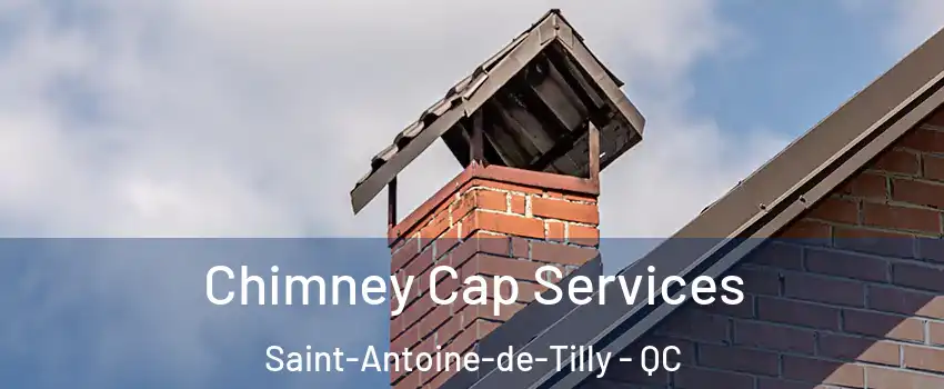 Chimney Cap Services Saint-Antoine-de-Tilly - QC