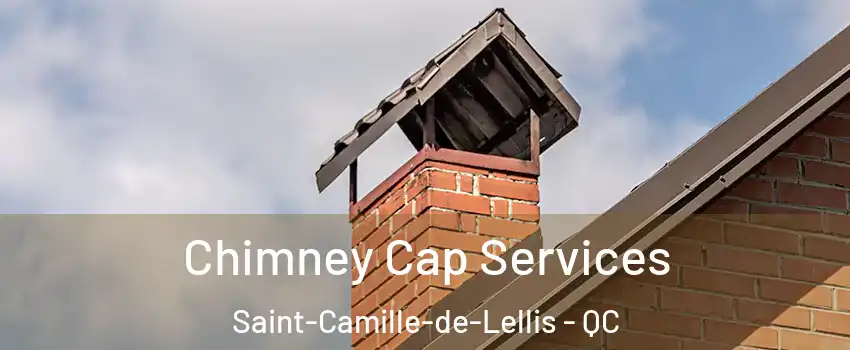 Chimney Cap Services Saint-Camille-de-Lellis - QC