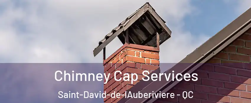 Chimney Cap Services Saint-David-de-lAuberiviere - QC